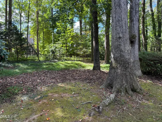 a view of outdoor space and trees