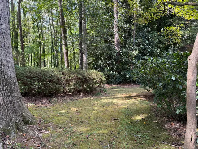 a view of a backyard with a tree