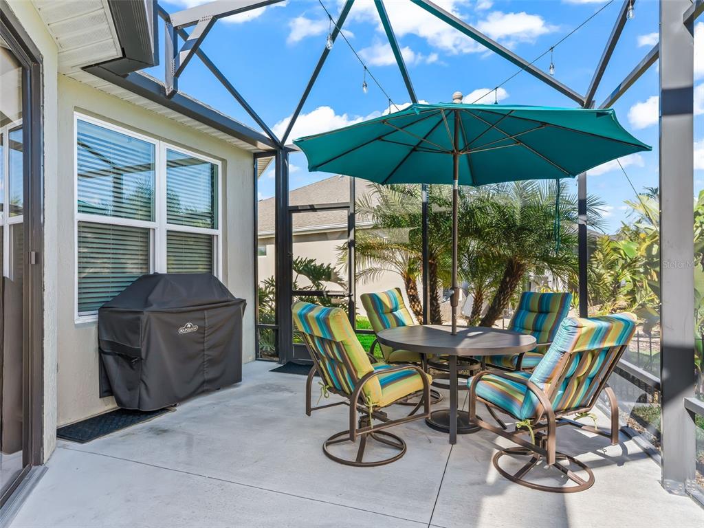 5689 Henry Loop The Villages, FL 34762 - Photo 43 of 60