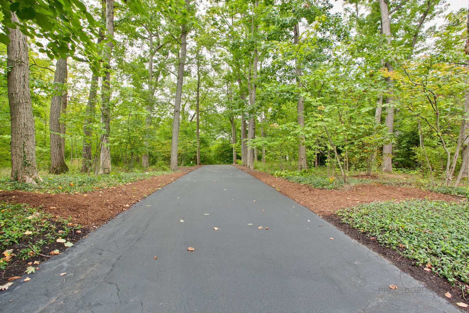 131 Moffett Road Lake Bluff, IL 60044 - Photo 32 of 39 Gallery Image 32