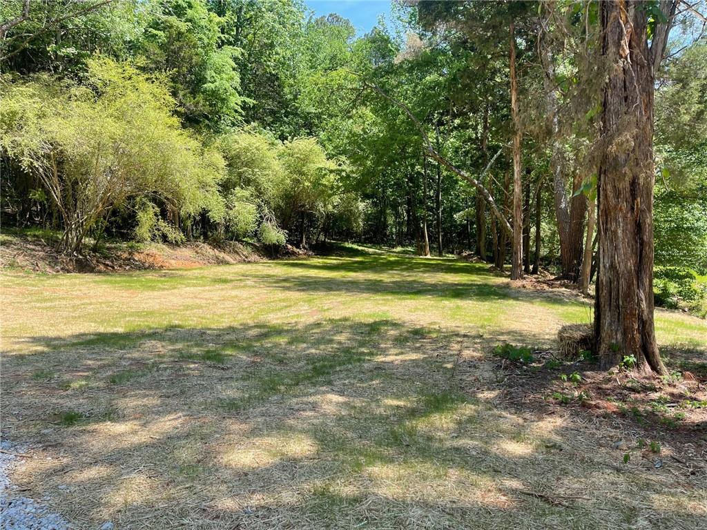 a view of a yard with a large tree