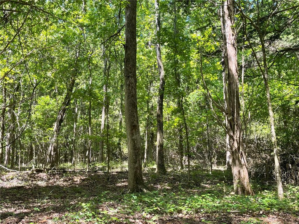 Lot 14 Chalcrest Way Cave Spring, GA 30124 - Photo 20 of 56 a big yard with lots of green space and trees