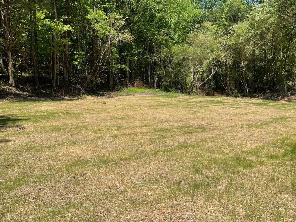 Lot 14 Chalcrest Way Cave Spring, GA 30124 - Photo 3 of 56 a view of swimming pool