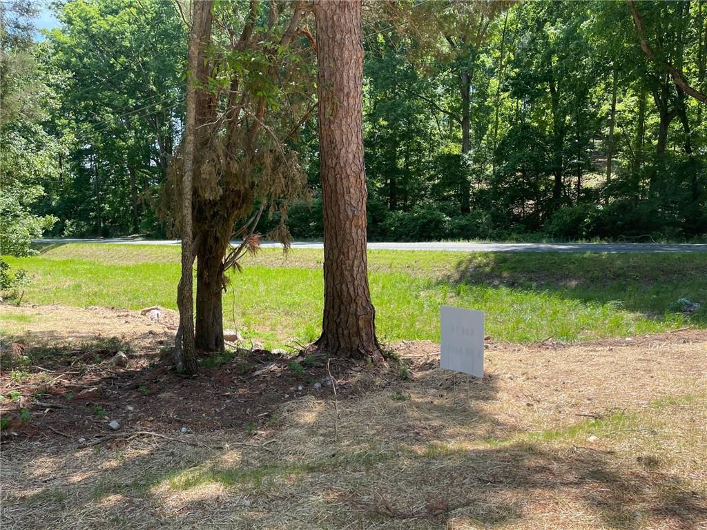 Lot 14 Chalcrest Way Cave Spring, GA 30124 - Photo 4 of 56 a view of a park with a large tree