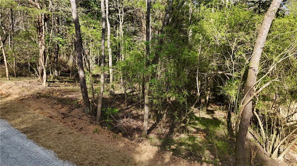 Lot 14 Chalcrest Way Cave Spring, GA 30124 - Photo 8 of 56 a view of a yard with plants and trees