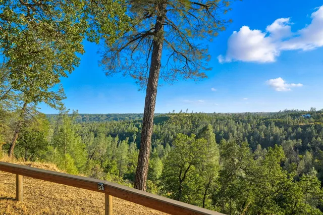 a view of a park with tree s