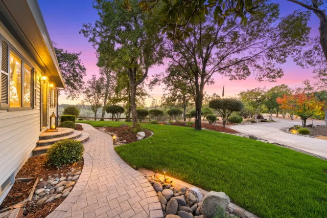 a park view with large trees