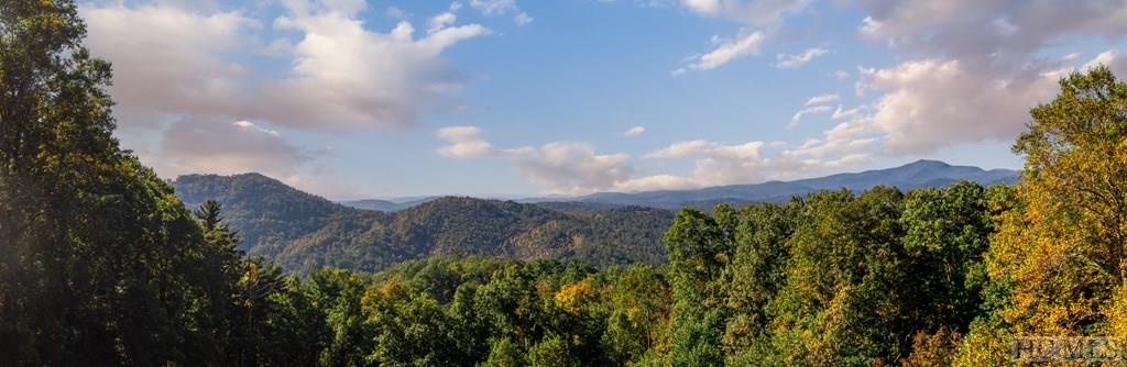 280 Harbison Orchard Road Highlands, NC 28741 - Photo 47 of 48 Gallery Image 47