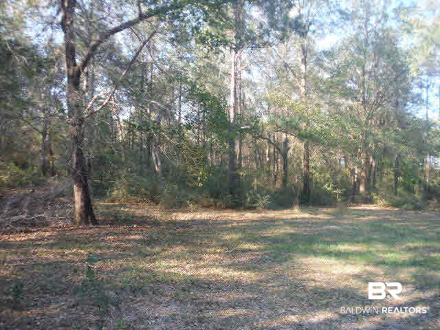 33975 Sunset Drive Lillian, AL 36549 - Photo 14 of 17 Back yard