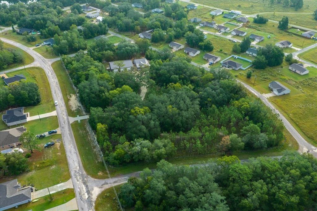 252 Malauka Road Ocklawaha, FL 32179 - Photo 71 of 78 an aerial view of residential houses with outdoor space and trees