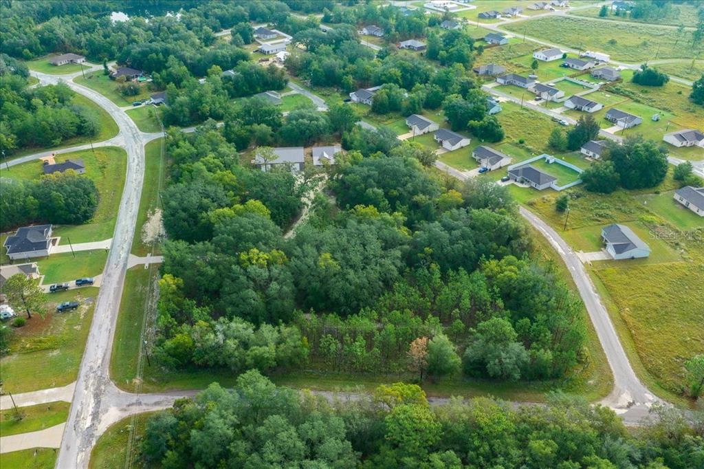 252 Malauka Road Ocklawaha, FL 32179 - Photo 73 of 78 an aerial view of residential houses with outdoor space and trees
