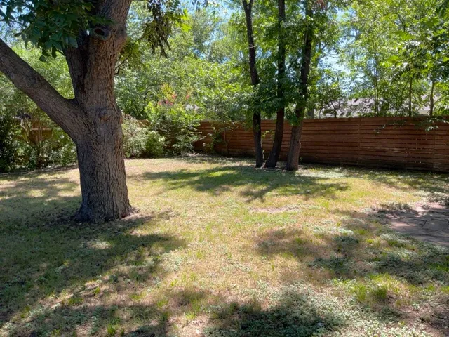 a view of a yard with wooden fence and a large tree