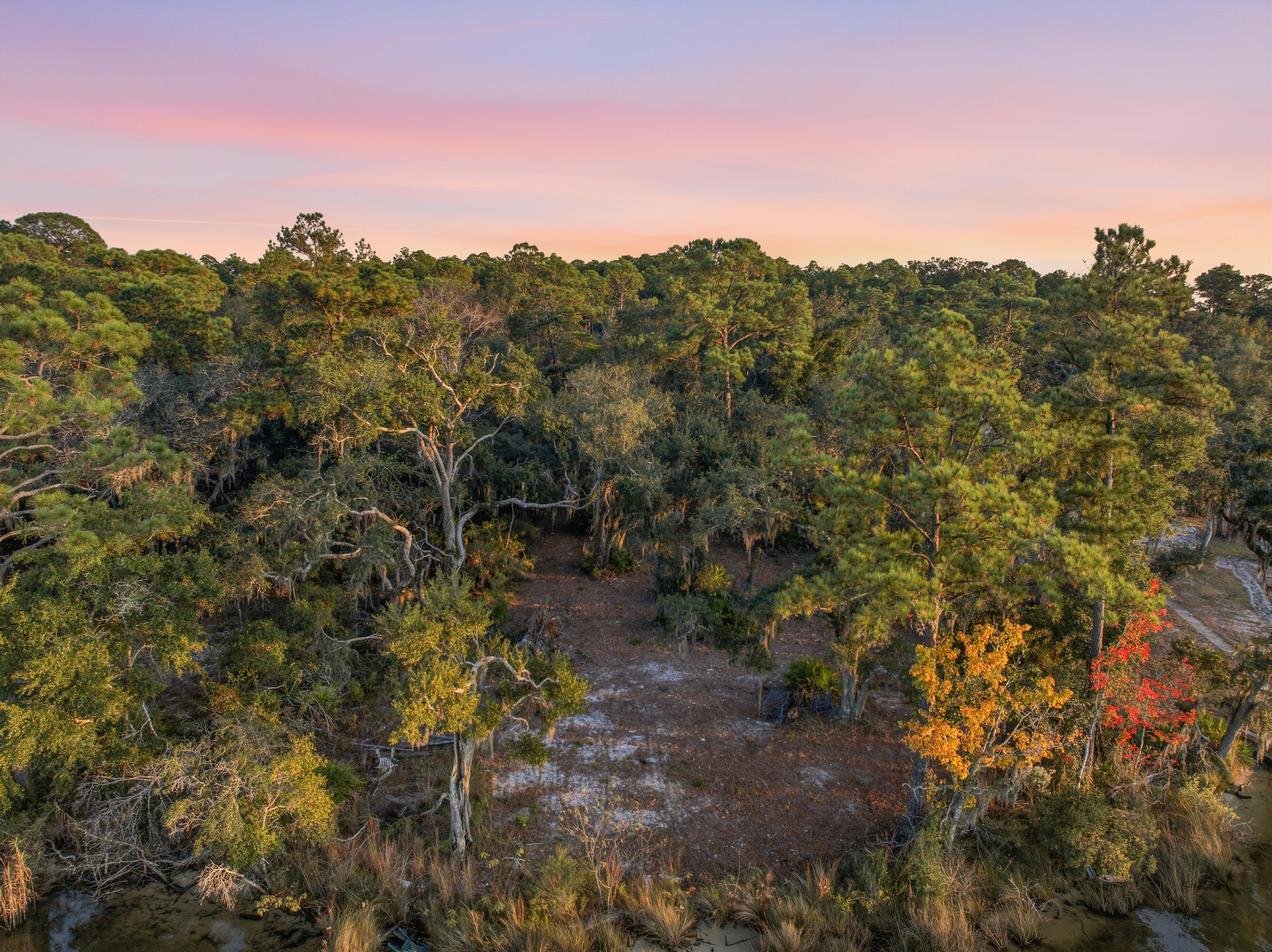 Lot 9 Holly Point Road Freeport, FL 32439 - Photo 5 of 14 a view of a field with a tree in the background