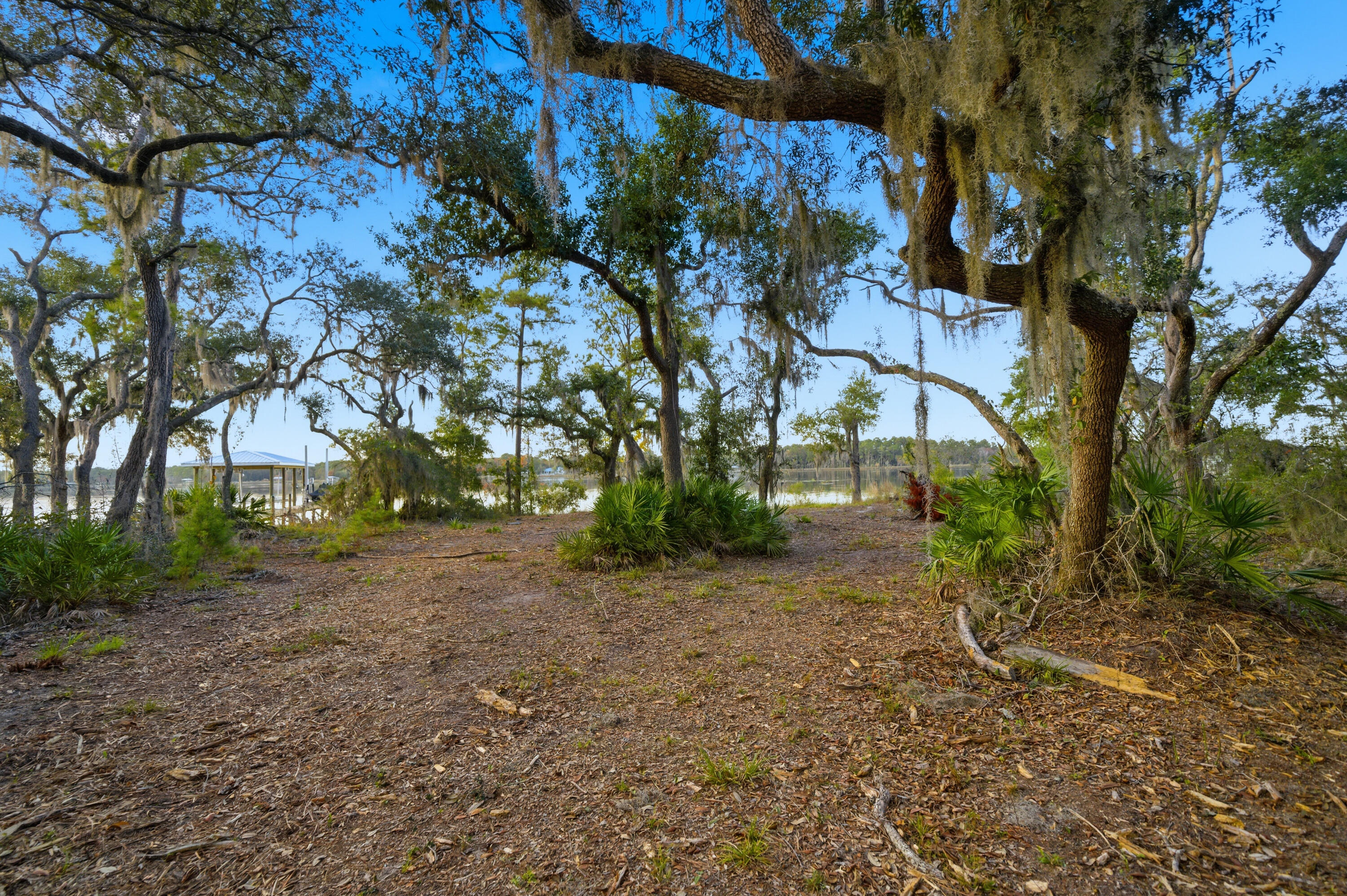 Lot 9 Holly Point Road Freeport, FL 32439 - Photo 7 of 14 a view of a yard with plants and trees