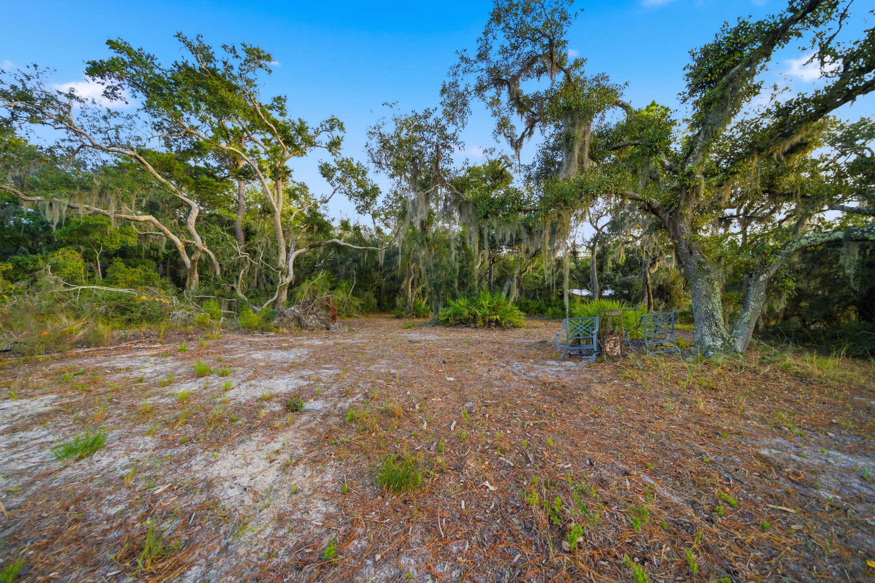 Lot 9 Holly Point Road Freeport, FL 32439 - Photo 9 of 14 a view of backyard with green space