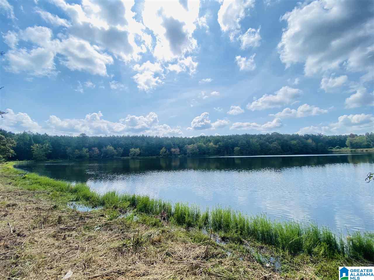 2560 Joe Lee Road, Unit 1 Talladega, AL 35160 - Photo 9 of 35
