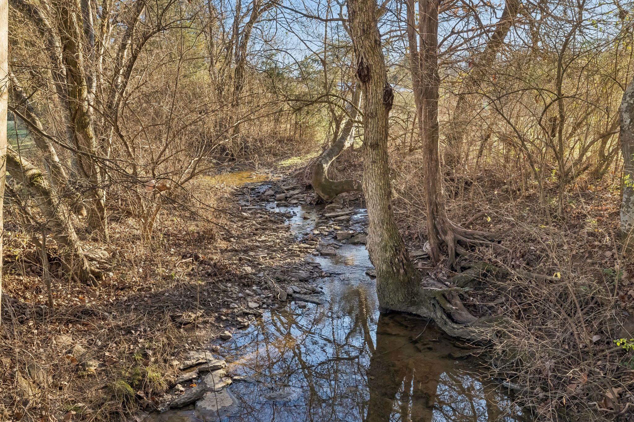 2537 York Road Nolensville, TN 37135 - Photo 74 of 84