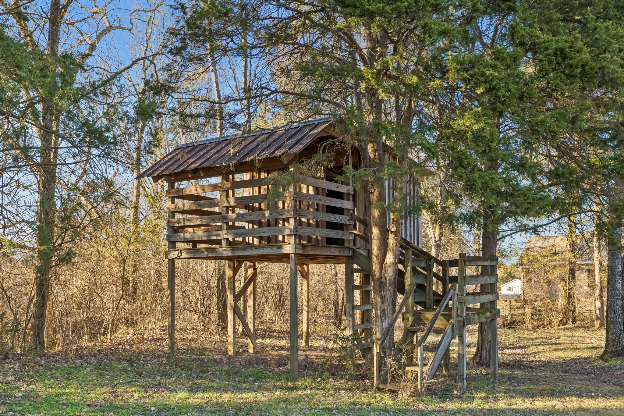 2537 York Road Nolensville, TN 37135 - Photo 76 of 84 a backyard of a house with lots of green space