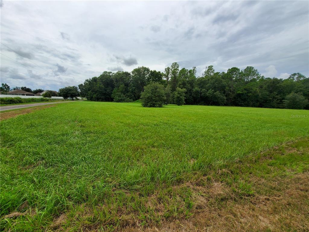 Eiland Boulevard Zephyrhills, FL 33541 - Photo 1 of 1