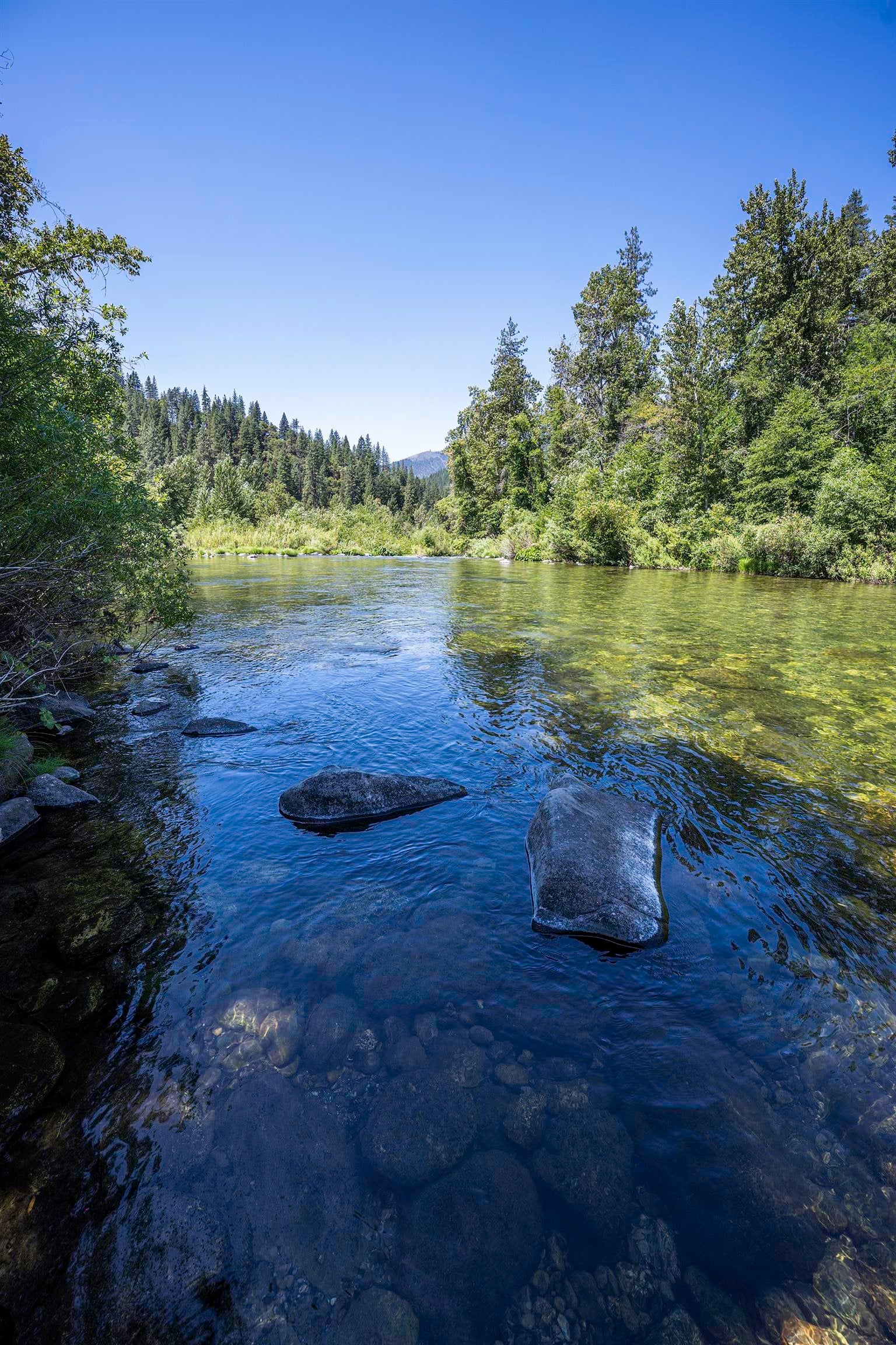 Girard Ridge Castella, CA 96017 - Photo 13 of 13 Gallery Image 13