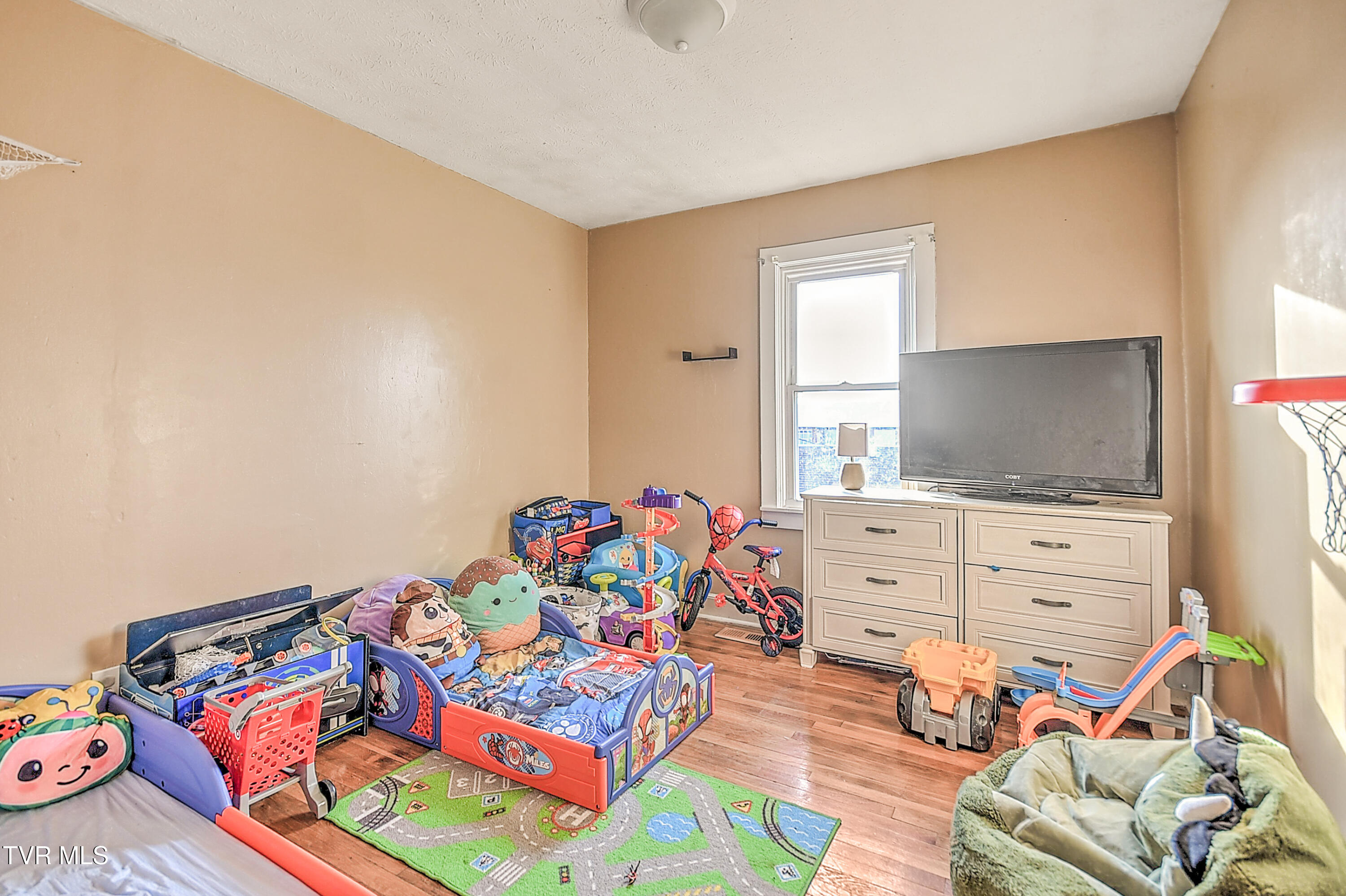 204 Lucy Road Kingsport, TN 37660 - Photo 13 of 41 204 Lucy DP-13