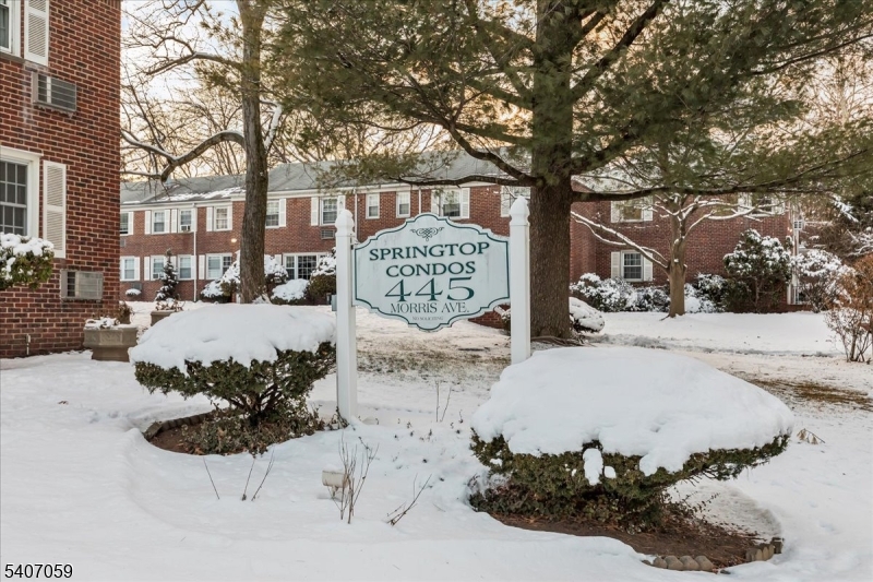 a street view with residential house and covered with snow