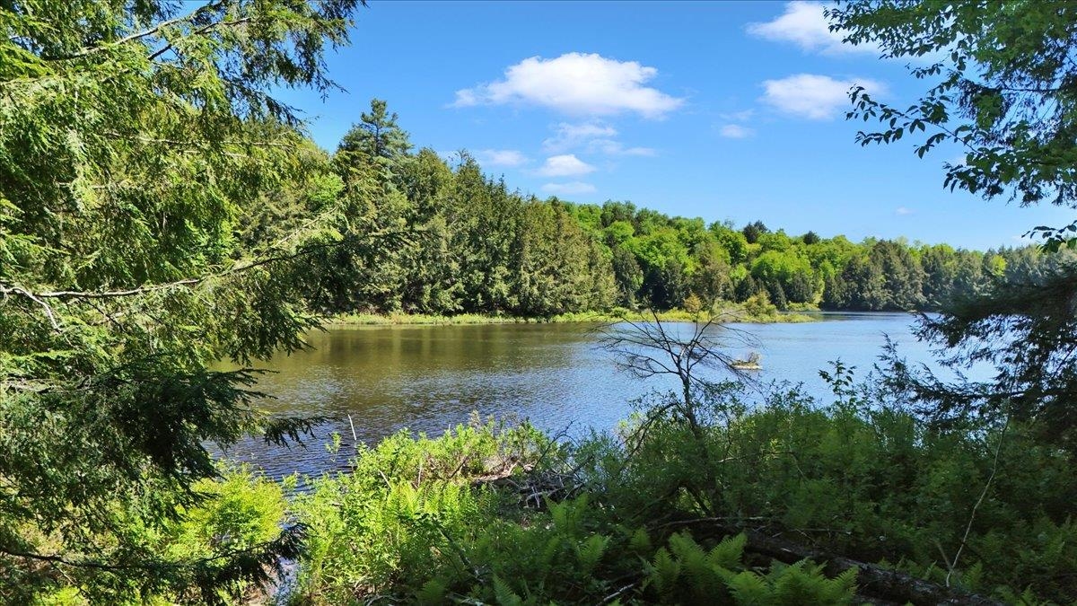 Lot 16 Barnett Road East Calais, VT 05650 - Photo 23 of 26