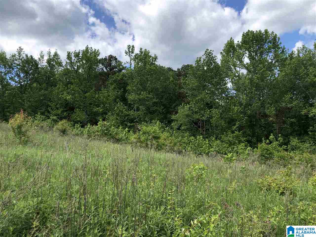 230 Copper Springs Road Odenville, AL 35120 - Photo 23 of 42