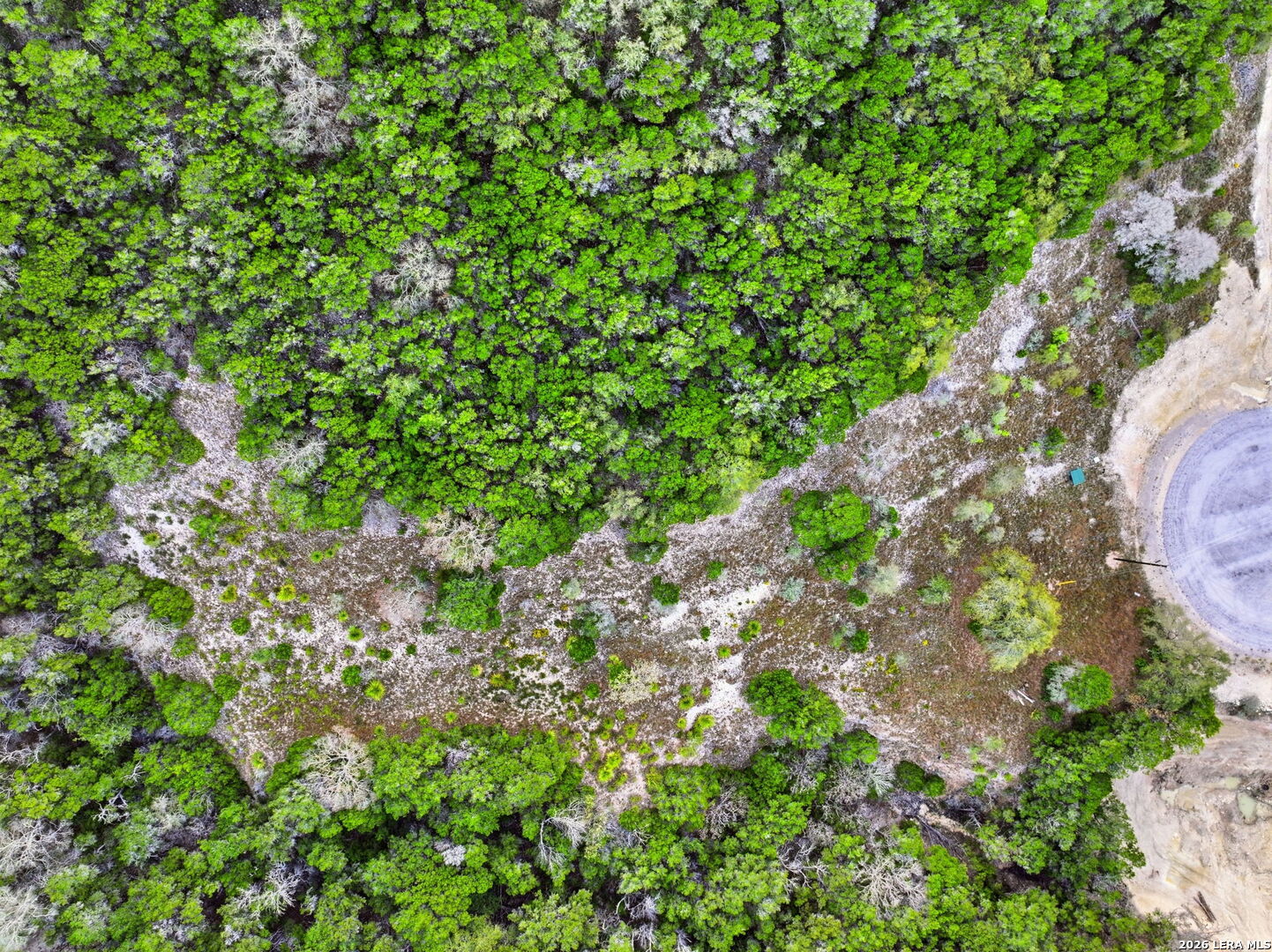 Lot 35 Walker Ridge Tarpley, TX 78883 - Photo 7 of 19