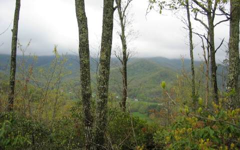 Gabriel Ridge Hayesville, NC 28904 - Photo 1 of 1 Main View