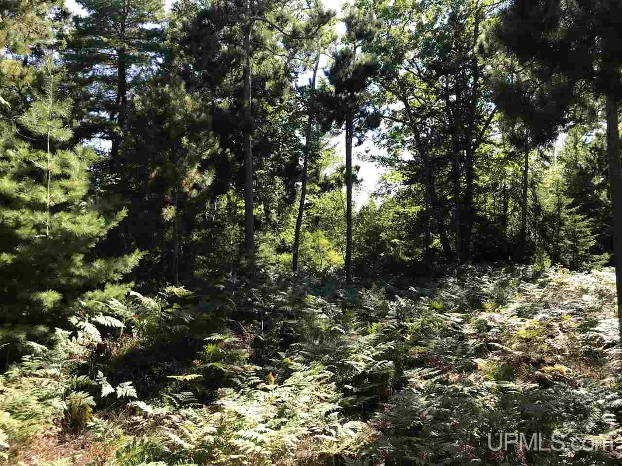 Tbd Five Mile Point Road, Unit 38 10 ACRES Allouez, MI 49805 - Photo 9 of 13
