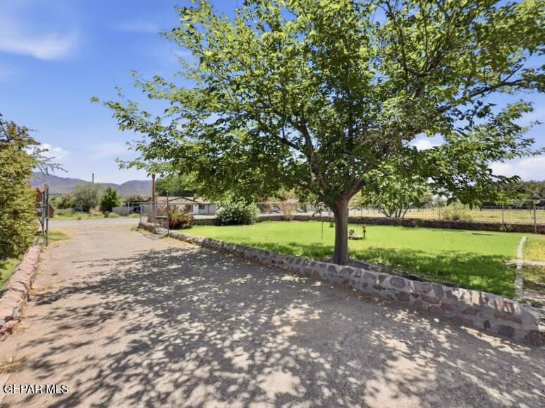 4135 Emory Road El Paso, TX 79922 - Photo 23 of 73 image00054