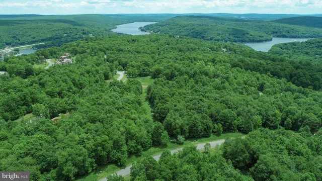 a view of a green field with lots of bushes