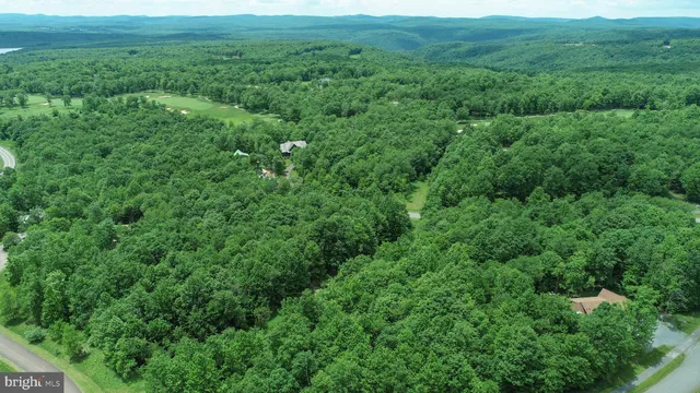 a view of a green field with lots of bushes