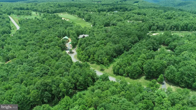 a view of a lush green forest with lots of trees