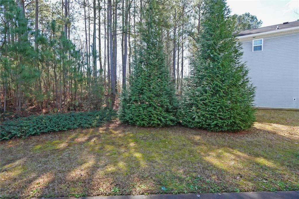 211 West Bridge Drive Dallas, GA 30157 - Photo 24 of 26 a view of a yard with plants and large trees