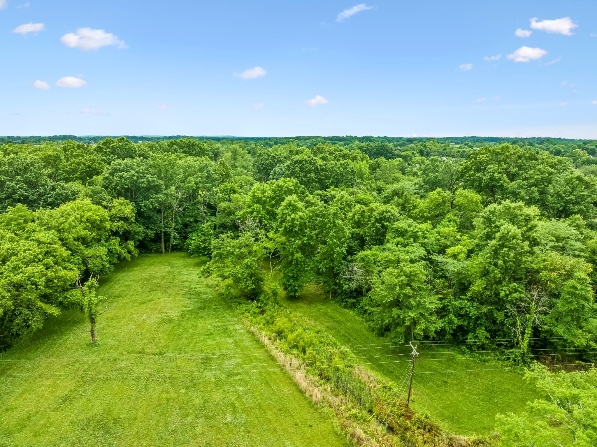 280 Kingdom Road Unionville, TN 37180 - Photo 30 of 65 a view of yard with green space