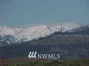 L2 Hamilton Loop Road Winthrop, WA 98862 - Photo 1 of 1 Gallery Image 1