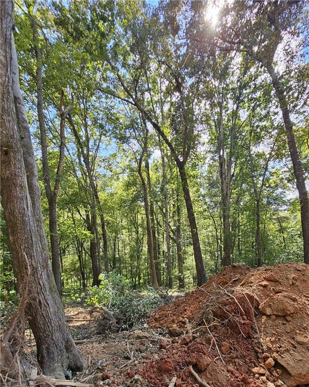 7619 Yukon Road Talking Rock, GA 30175 - Photo 25 of 32 Gallery Image 25