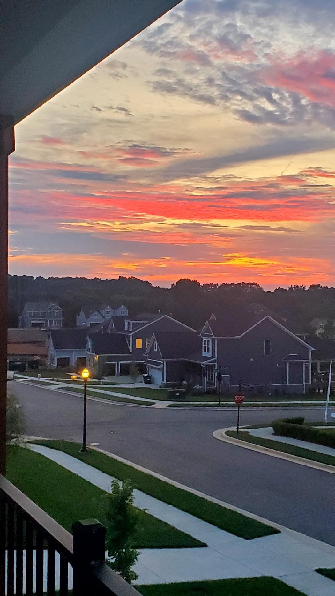 7406 Twill Hts Loop Fairview, TN 37062 - Photo 21 of 69