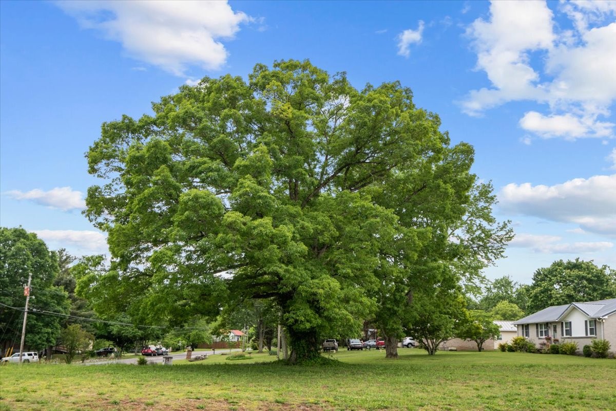 7406 Twill Hts Loop Fairview, TN 37062 - Photo 42 of 69