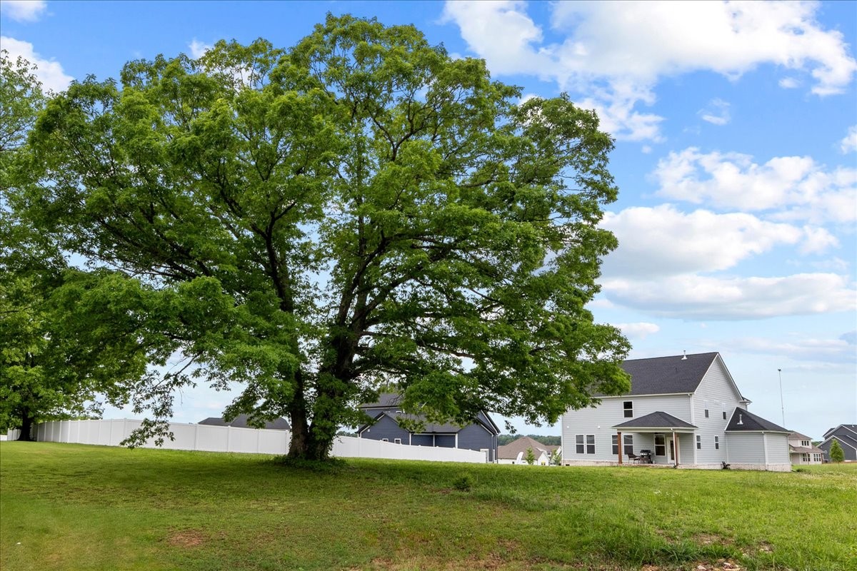 7406 Twill Hts Loop Fairview, TN 37062 - Photo 46 of 69