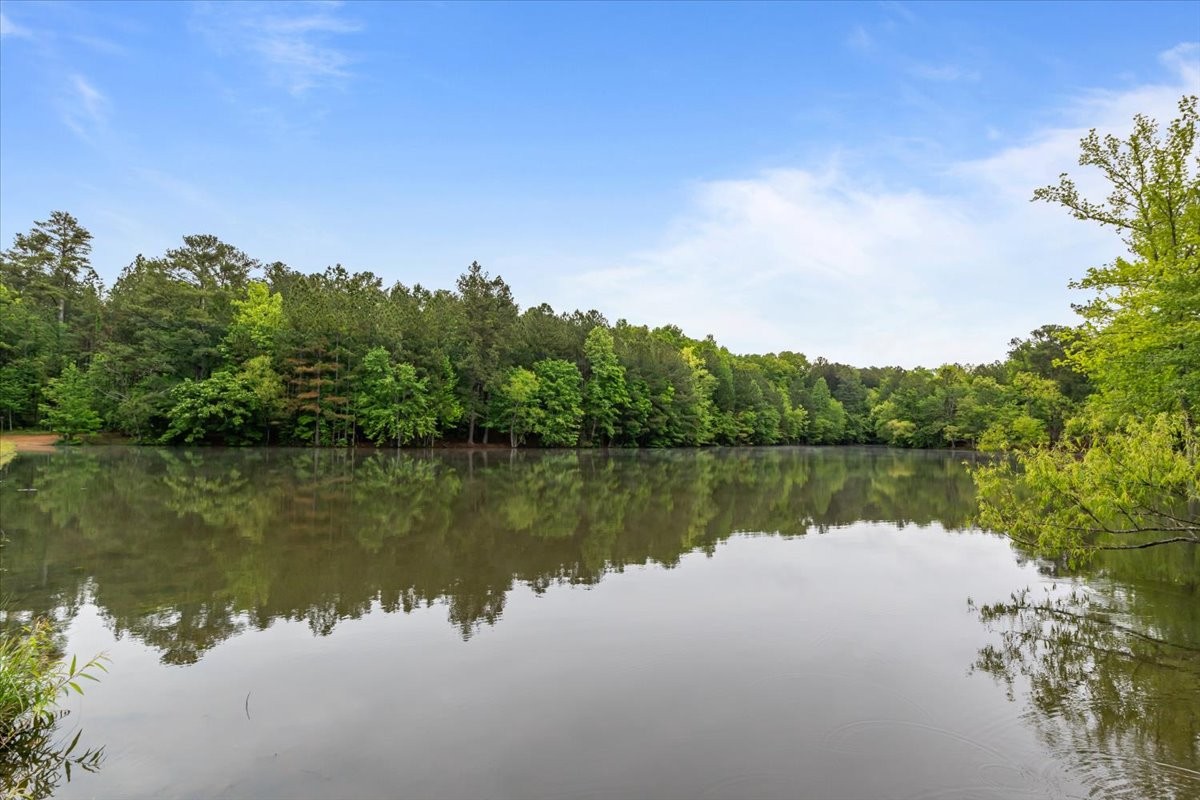 7406 Twill Hts Loop Fairview, TN 37062 - Photo 54 of 69