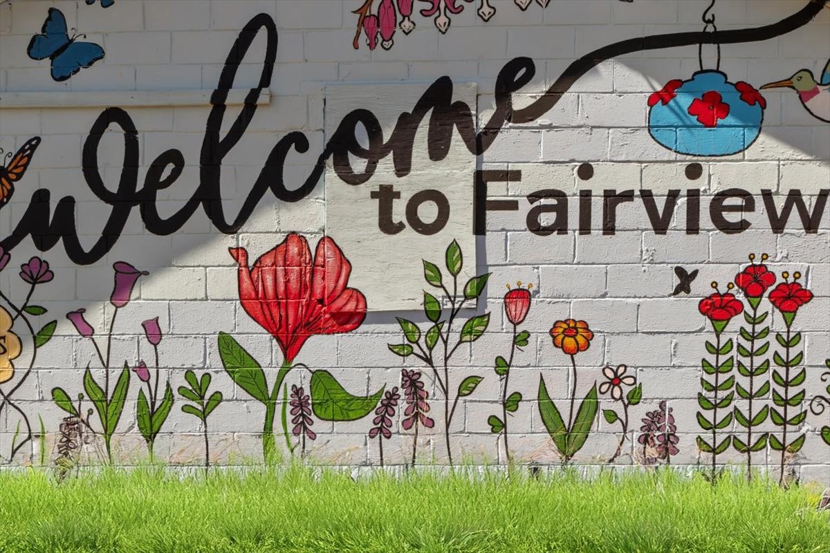 7406 Twill Hts Loop Fairview, TN 37062 - Photo 68 of 69