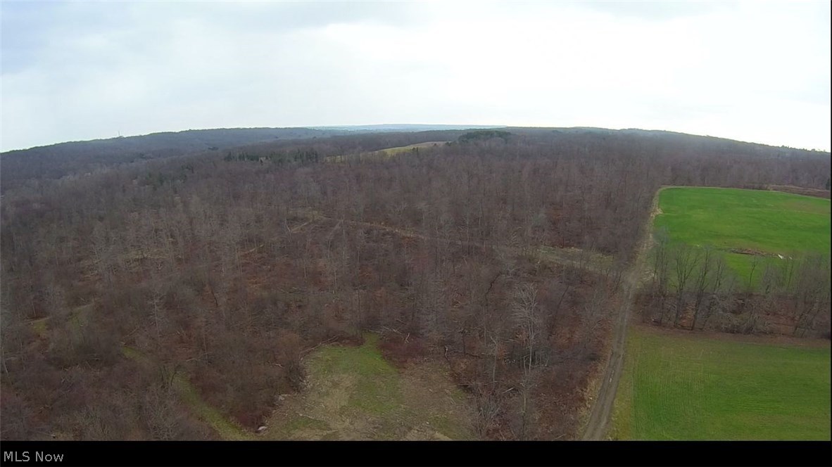 0 Custer Orangeville Road Masury, OH 44438 - Photo 4 of 14 Gallery Image 4