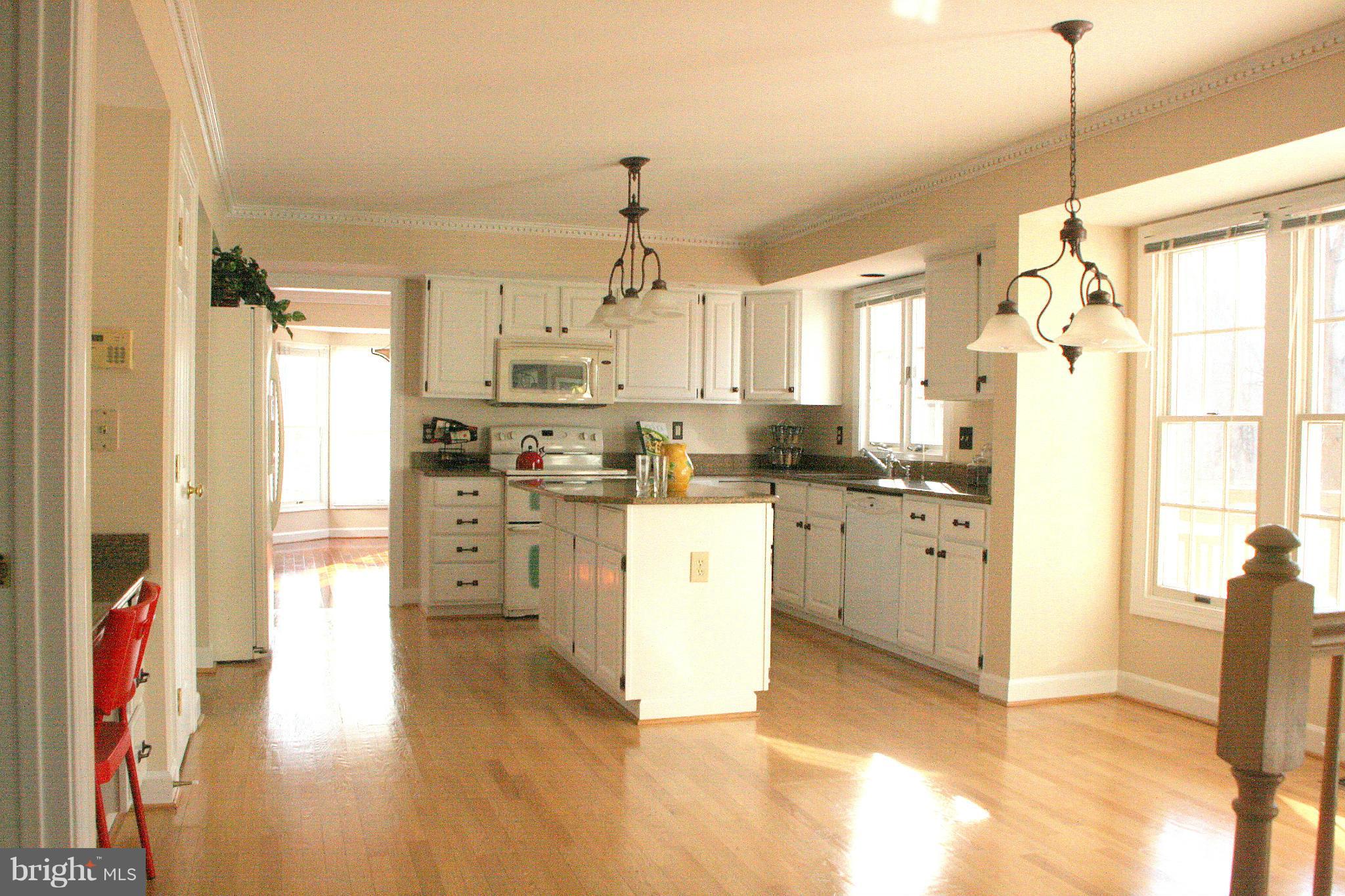 19810 Falling Spring Court Gaithersburg, MD 20882 - Photo 11 of 30 Kitchen w/Breakfast Area overlooking Scenic Vista