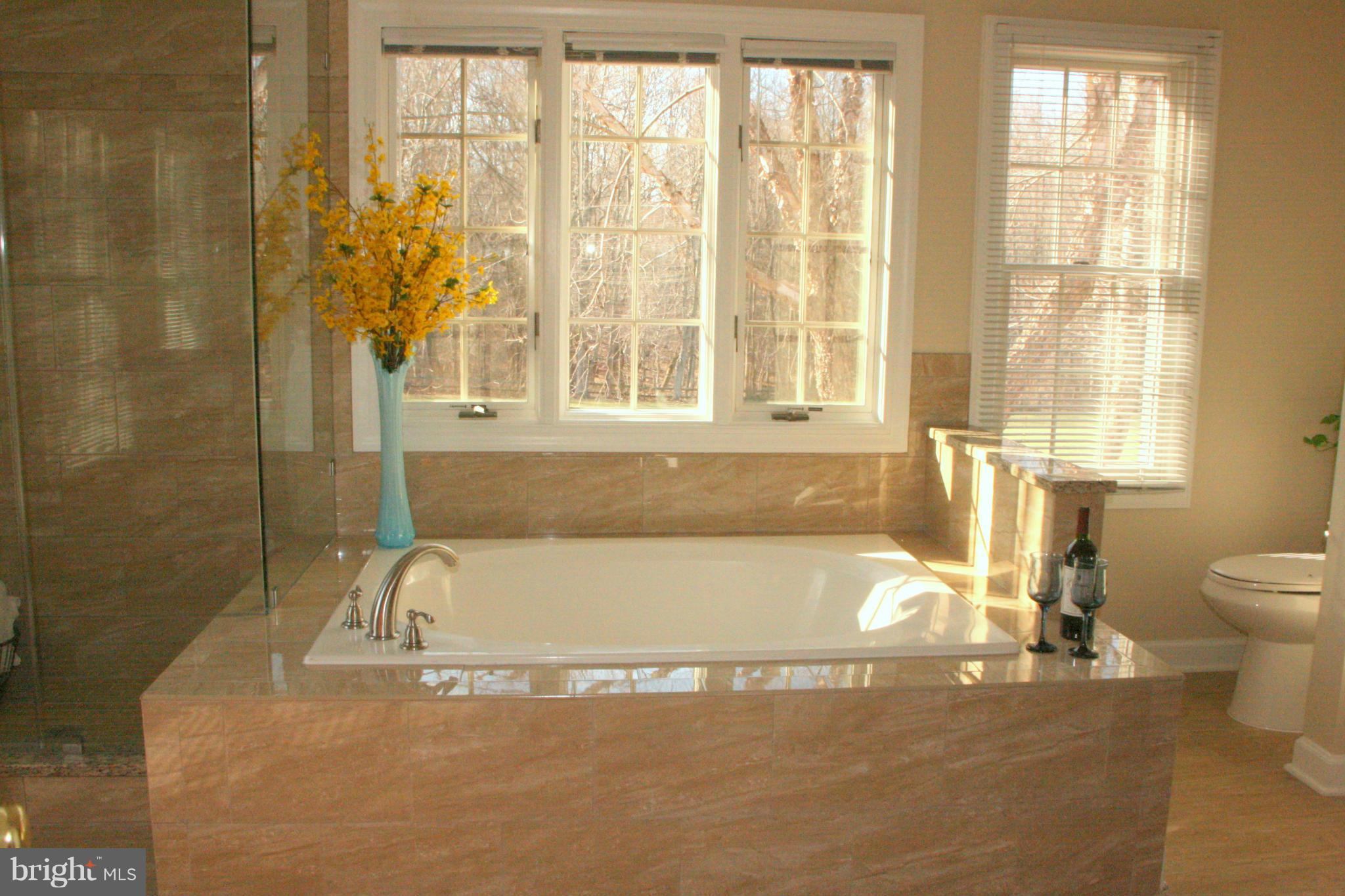 19810 Falling Spring Court Gaithersburg, MD 20882 - Photo 17 of 30 Soaking Tub