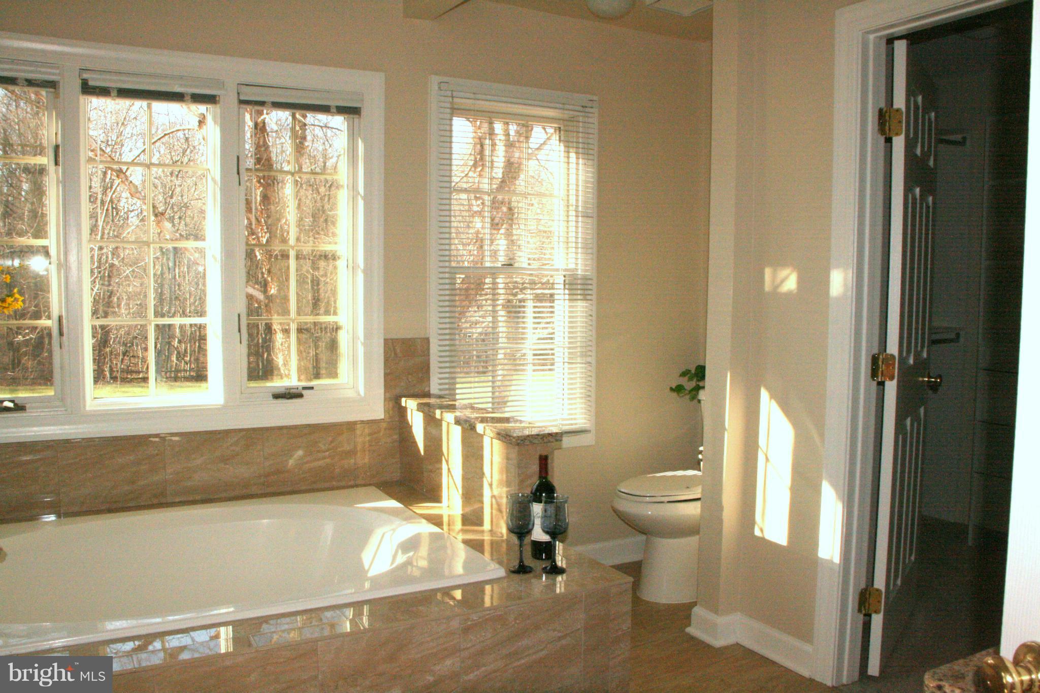 19810 Falling Spring Court Gaithersburg, MD 20882 - Photo 18 of 30 Bath (Master)
