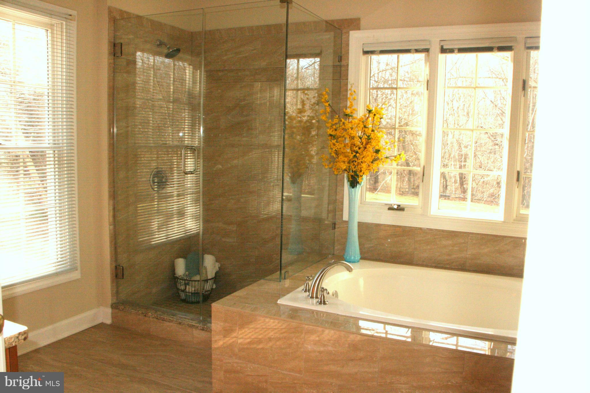 19810 Falling Spring Court Gaithersburg, MD 20882 - Photo 19 of 30 Separate Shower
