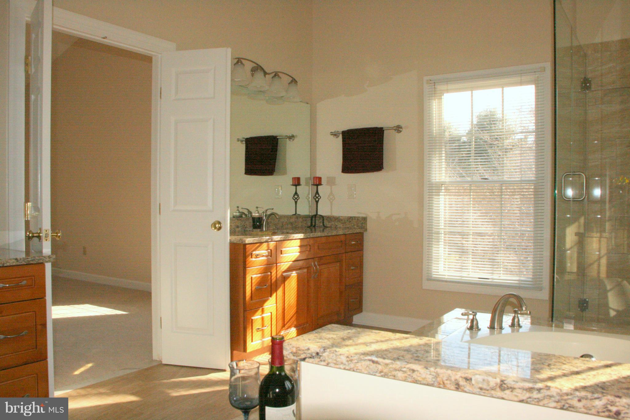 19810 Falling Spring Court Gaithersburg, MD 20882 - Photo 20 of 30 His vanity